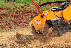 Leaf Removal in Holladay, UT